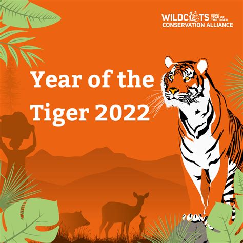 Jogue Year Of The Tiger online